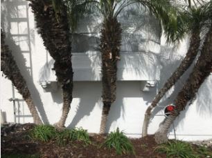 San Diego Stucco job