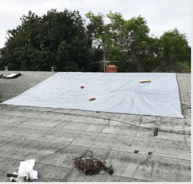 Roof Tarping Shingle Roof