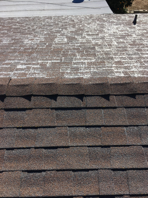 repair or replace your roof