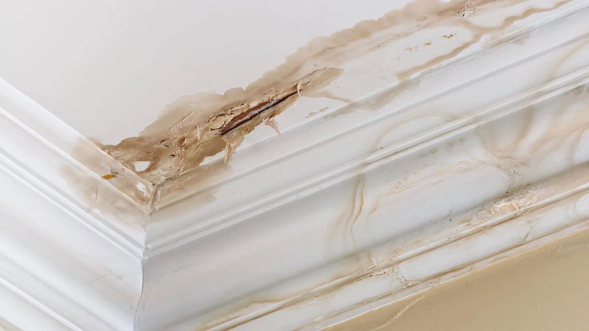 Water-Stains-On-Home-Ceiling Water Stains On Home Ceiling | Leaky Roof Repair Services San Diego, Ca