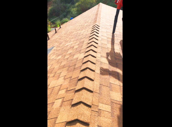 Shingle Roof1 | Roofing