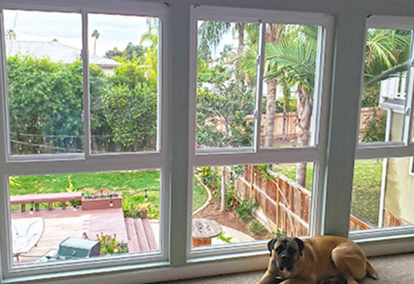 Window | Windows And Doors